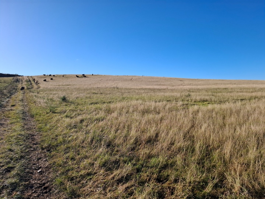 6 Bedroom Property for Sale in Riversdale Rural Western Cape